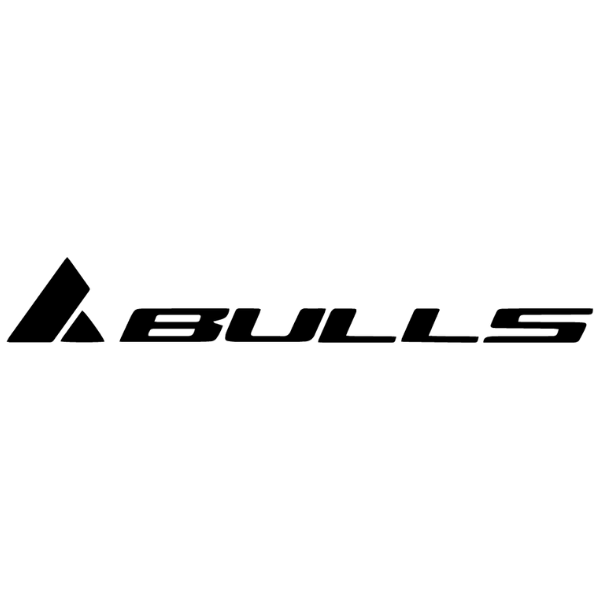 BULLS Logo