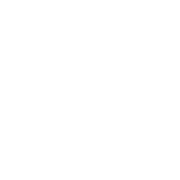 BULLS Logo